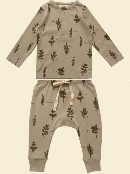 Organic Baby & Toddler Long-sleeve Tee and Pants - Herb